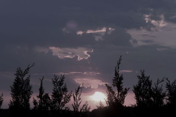 The Curious Incident of the Dog in the Night-Time by Mark Haddon: Review