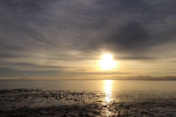 South Africa quoted by Nelson Mandela